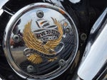 2002 Harley Davidson ROAD KING CYCLE